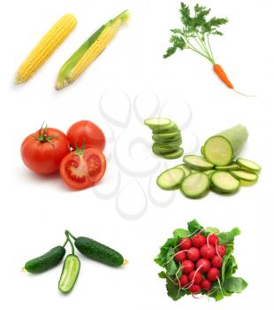 Vegetables collection. Element of design.