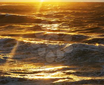Golden sea waves. Nature composition.