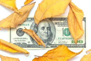 Dollar in autumn leafs. Element of design.