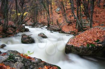 Autumn landscape. Composition of nature. River into canyon.