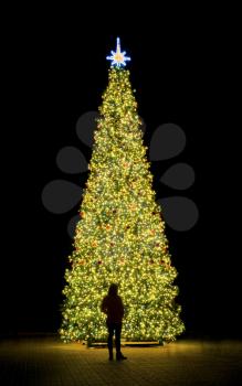 New year fir-tree and silhouette of person. Night and street outdoor scene. 