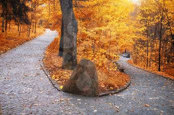 Autumn landscape. Composition of nature. Path in park.