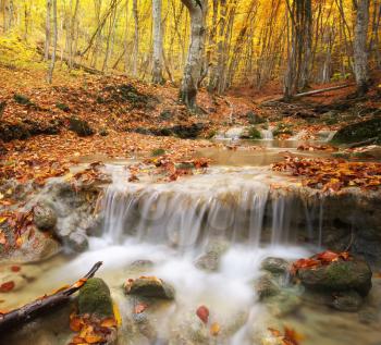Autumn landscape. Composition of nature. River into canyon.
