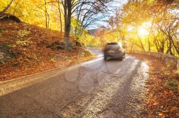 Autumn road and car in mountain forest. Nature composition.