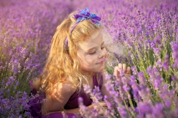 Cute little girl smell the lavender flowers in meadow. Portrait and nature composition. 