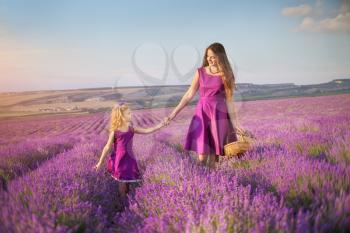 Little girl and mother walking at meadow of lavender. Family care and nature composition.