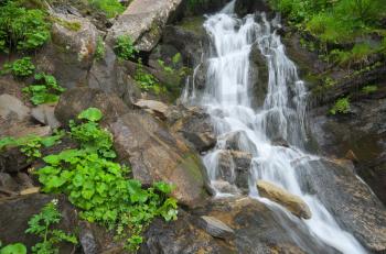 Spring rill flow in mountain. Nature composition.