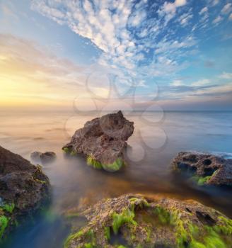Beautiful seascape. Composition of nature. Sunset nature compostion. Mist on water and seaweed on stones.