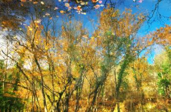 Golden autumn water reflectiom. Element of nature design.