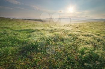 Sunrise at valley. Dew on grass. Nature landscape.