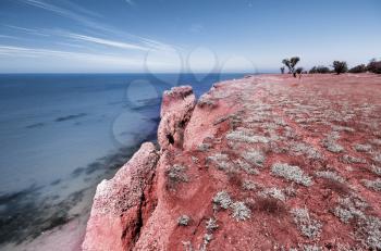 Beautiful infrared nature and seascape. Composition of nature.