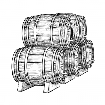  Wine or beer barrels isolated on white background. Vector illustration.