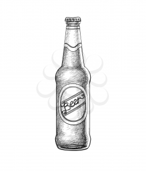 Beer bottle isolated on white background. Hand drawn vector illustration. Retro style.