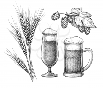 Hops, malt, beer glass and beer mug. Isolated on white background. Hand drawn vector illustration. Retro style.