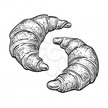 Hand drawn vector illustration of croissants isolated on white background. Retro style.