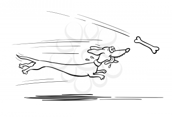 Sketch of dachshund dog running for bone. Hand drawn vector illustration. Isolated on white background.