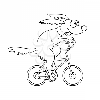 Cute dog riding a bicycle. Vector illustration. Isolated on white background.