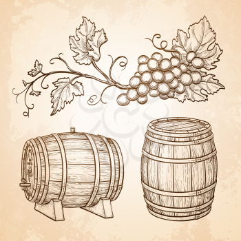 Hand drawn vector illustration of grape branches and wine barrels. Old paper background. Retro style.