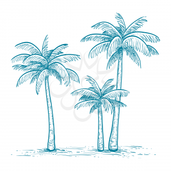 Hand drawn vector illustration of palm trees  isolated on white background. Sketch. Retro style.