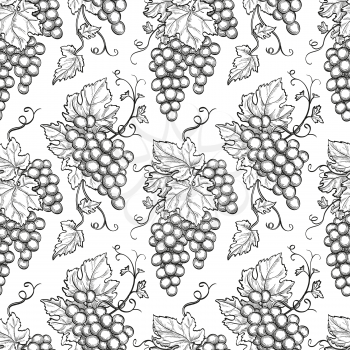 Seamless pattern with grapes. Hand drawn vector illustration.