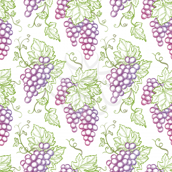 Seamless pattern with grapes. Hand drawn vector illustration.