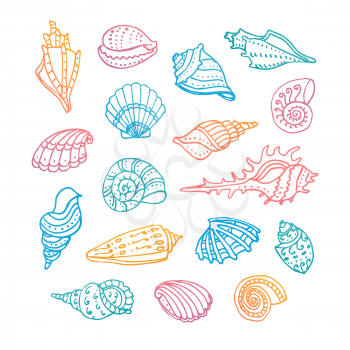 Doodle set of seashells. Isolated on white background. Hand drawn vector illustration.