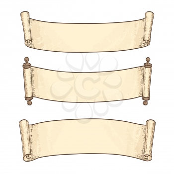 Set of banners. Vintage scrolls isolated on white background. Hand drawn vector illustration.