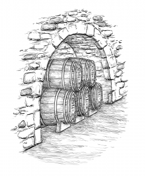 Ancient cellar with wine wooden barrels. Isolated on white background. Hand drawn vector illustration.