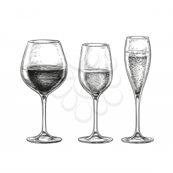 Set of wineglasses. Red wine, white wine and champagne. Isolated on white background. Hand drawn vector illustration. Retro style.