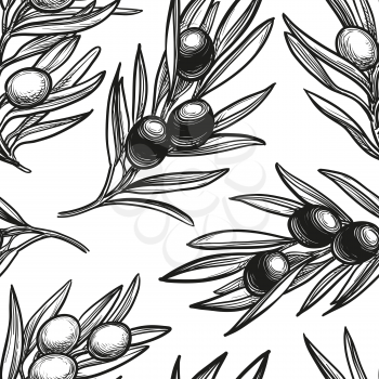 Seamless pattern with olive branch. Hand drawn vector illustration
