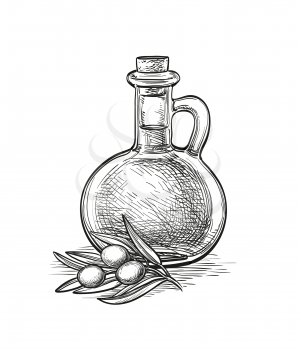 Bottle of olive oil and olive branch. Hand drawn vector illustration. Isolated on white background. Retro style.