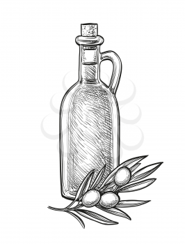 Bottle of olive oil and olive branch. Hand drawn vector illustration. Isolated on white background. Retro style.