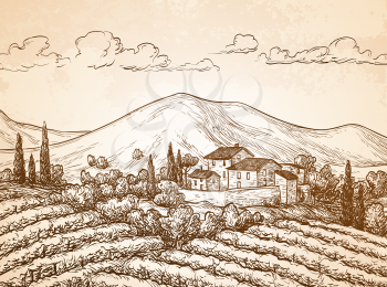 Hand drawn vineyard landscape on old paper background. Vintage style vector illustration.