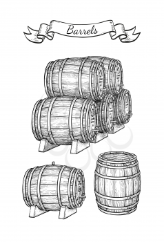 Wine or beer barrels set isolated on white background. Vector illustration.