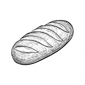 Loaf of bread. Hand drawn vector illustration. Isolated on white background. Vintage style.
