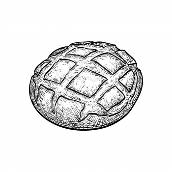 Hand drawn vector illustration of rustic bread. Isolated on white background. Pain de campagne. Retro style.