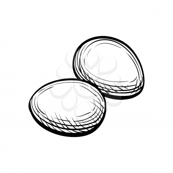 Eggs. Hand drawn vector illustration. Isolated on white background. Vintage style.