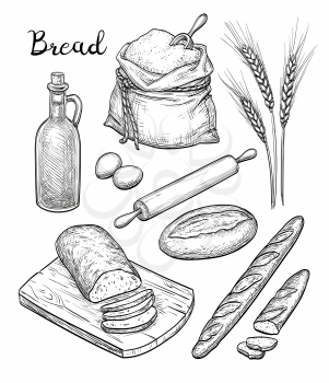 Ingredients and bread set. Hand drawn vector illustration. Isolated on white background. Retro style.