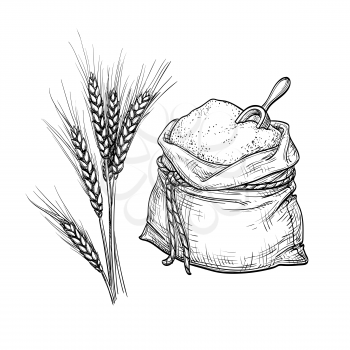 Wheat and sack of flour. Hand drawn vector illustration. Isolated on white background. Retro style.