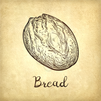 Hand drawn vector illustration of rustic bread on old paper background. Vintage style.