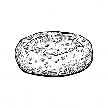 Whole grain bread. Hand drawn vector illustration. Isolated on white background. Vintage style.