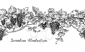 Seamless illustration of grapes. Hand drawn vector sketch.