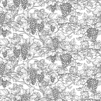 Seamless pattern with vine. Hand drawn vector illustration of grapes. Retro style.