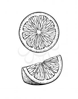 Lemon slices. Isolated on white background. Hand drawn vector illustration. Retro style.