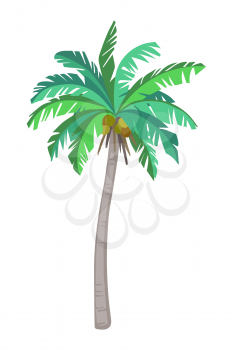 Vector illustration of coconut palm tree. Isolated on white background. Ink sketch. flat style.