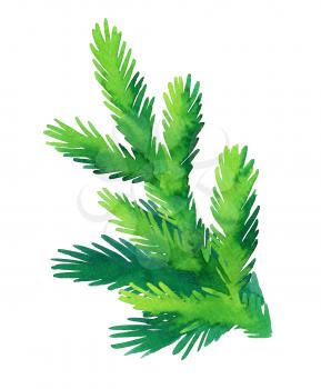 Fir branch isolated on white background. Hand drawn watercolor illustration. Christmas tree. New year and Xmas Holidays design.