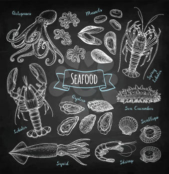 Seafood big set. Chalk sketch on blackboard background. Hand drawn vector illustration. Retro style.