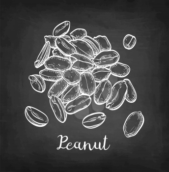 Handful of peanut. Chalk sketch on blackboard background. Hand drawn vector illustration. Retro style.
