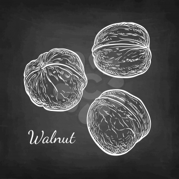 Three walnuts. Chalk sketch on blackboard background. Hand drawn vector illustration. Retro style.