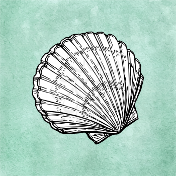 Scallop ink sketch on old paper background. Hand drawn vector illustration. Retro style.